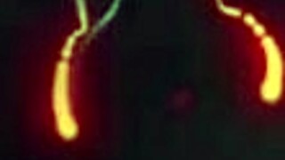 oh wow, sheseducedme with witchcraft and time travel! 😍