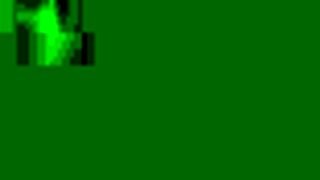 pov view of two gay wolves mating in wildlife