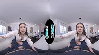 pov view of two gay wolves mating in wildlife