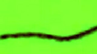 Discover Vintage Erotic Art Treasures