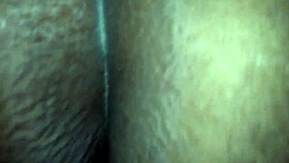 Creamy Gusher Bbw Wow In Anal Action