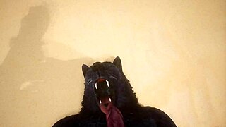 Pov Two Gay Wolves Fuck Intensely