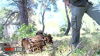 Perfektná španielska pornstar Susi Gala účinkuje v lese