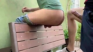 Acción ardiente en jardín mexicano