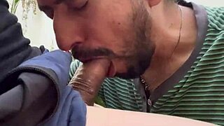 Acción ardiente en jardín mexicano