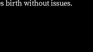 Deport this dick in English sub end 2, what a scene!