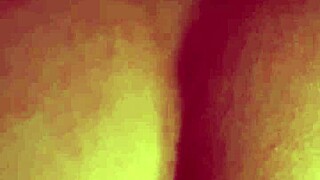 Curvy Babysitter Twins Handle Big Cock Assfucking After Argument