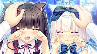 Nekopara hentai adventures await