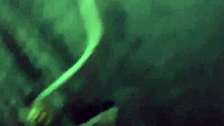 fucking the police auxiliary with her big tits, milf style