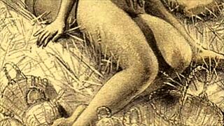 Vintage Erotic Illustration