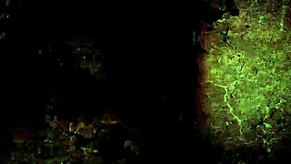 Vintage Erotic Illustration