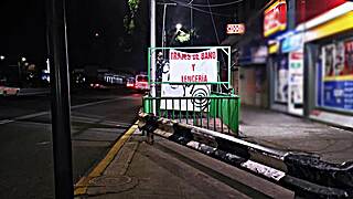 Public Whore Flashing in Miniskirt