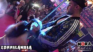 follando en zorrilandia