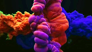 Tesão bateu no ônibus indo pra sp e bianca foi tocar sua flauta novamente veja mais em xv red