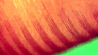 latina mexican amateurs compilation