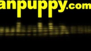 Gay Dilf Richard Lennox Turns You Into His Fuck Toy