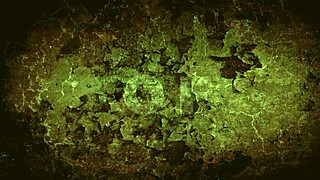 Dark Lantern Entertainment unveils retro hairy pussy in vintage action