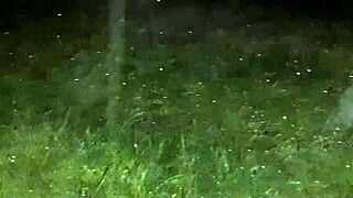 we hid from rain in abandoned ranch for lesbian sex with dirty talk