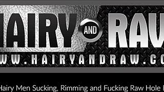 Hairy Inked Stud Fucks Mickey Carpathio After Intense Blowjob