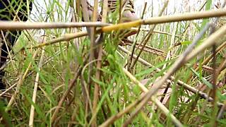 anime bondage scene two