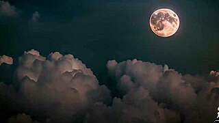 nerdy girl gets taken over by a demon and bangs hot chicks.