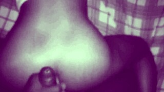 A random collection of various scenes.