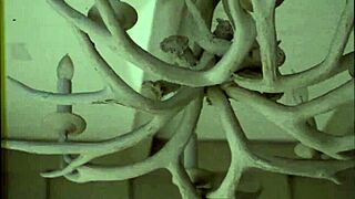 Detailed Look At The Easy Gay Life Outdoors