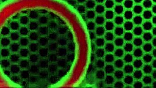 nasty nickey says fill my mouth and pussy with big dick alex