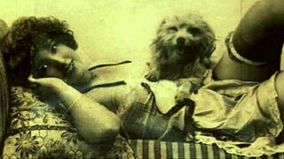 vintage animalation clip with wild retro cartoon vibes! 🐾