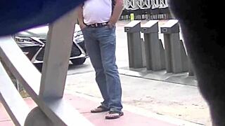 Helena Price Flashes Pussy In Public