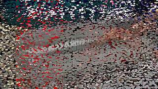 Chanel Malibu Big Ass Sex Scene