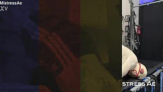 Training in action complete collection bundle iii, buy three get one free.