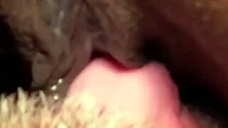 Flowerandlouis Update 5 Morning After Laughs