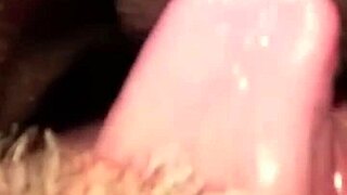 Flowerandlouis Update 5 Morning After Laughs