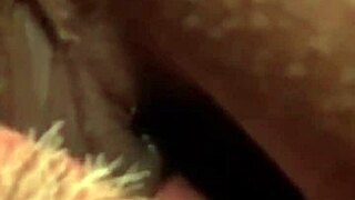 Flowerandlouis Update 5 Morning After Laughs