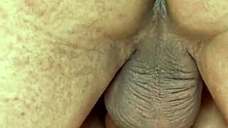 two horny guys flashing big cocks to a sexy bbw milf for wild assfucking in homemade swingers video