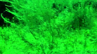 i got brooke ballentyne banging a ranch hand outdoors