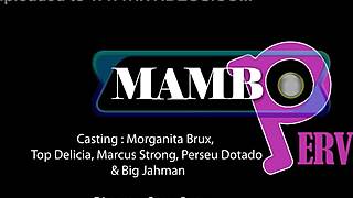 19-Year-Old Brazilian Morganita Brux Takes 4 Monster Cocks! DAP and Anal in Wild 3on1 Action, No Pussy Allowed!