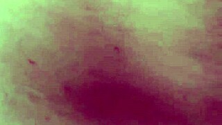 Outdoor Blowjob From Bbw Latina