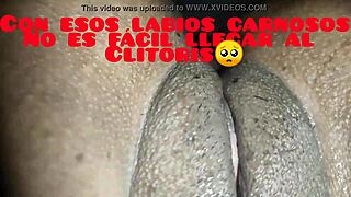 lamiendo culo y vagina en cuatro