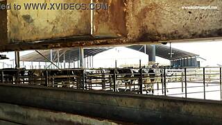 dominatrix mistress april dominates with kinky banging in rose garden part 3.