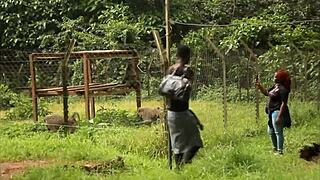 Strange Park Meeting with Huge Cock Filling Mouth and Tight Ass