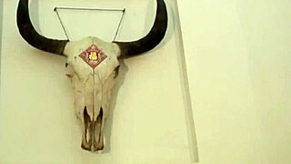 장샤오위 중국 털보 보지 소프트코어 클립에서 보여줘