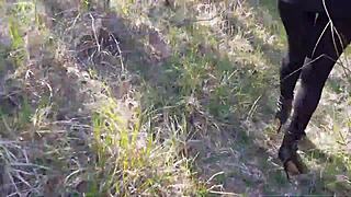 Rita guedes nua e pelada mostrando tudo em serie aenudes com br