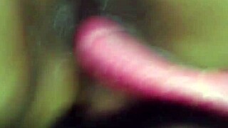 spending a quiet evening with lucy