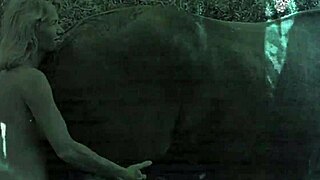 check out dark lantern entertainment’s vintage hairy ride show