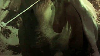 check out dark lantern entertainment’s vintage hairy ride show