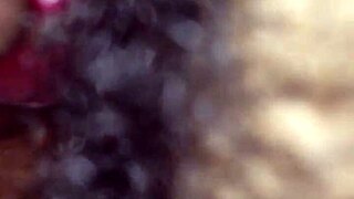 spending a quiet evening with lucy