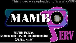 Very Slim Brazilian Karina Rose Fucked By 4 Huge Cocks And Drinks Pee In Dap Anal Pissing Atm With Dirty Talk!