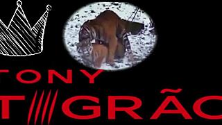 powerful solo action with lubricated big tits from brazilian milf gih pimentinha